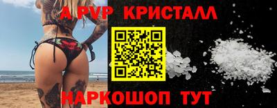 СК Краснокаменск