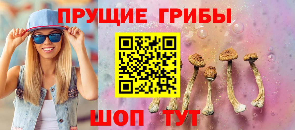 Псилоцибиновые грибы Magic Shrooms  купить закладку  Кострома  Вход с VPN 